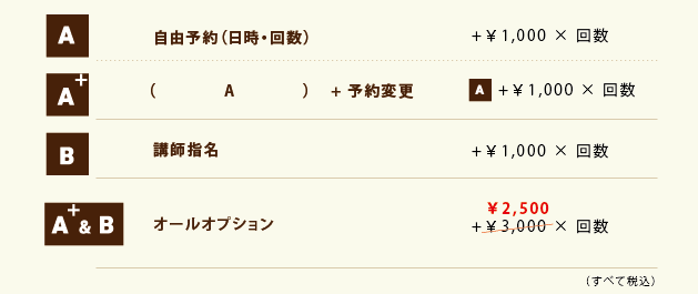 リトルヨーロッパのレッスンオプション料金